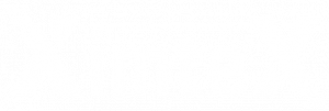logo_himtex_white_text
